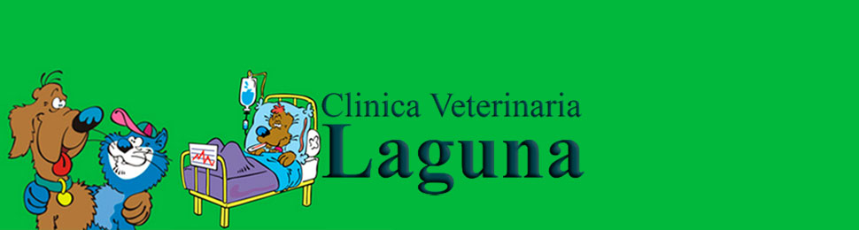 Clínica Veterinaria Laguna